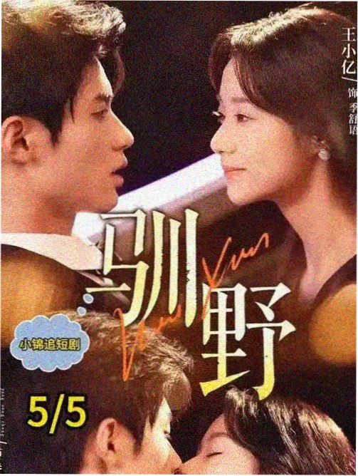 潮线公寓情景航线封面